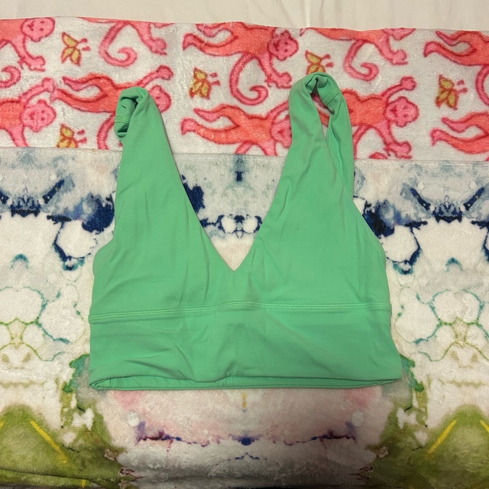 Mint Green V-Neck Sports Bra